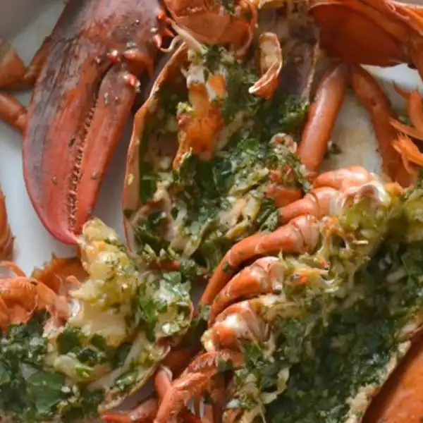 Aqualis Hele Kreeft Mooi Zicht